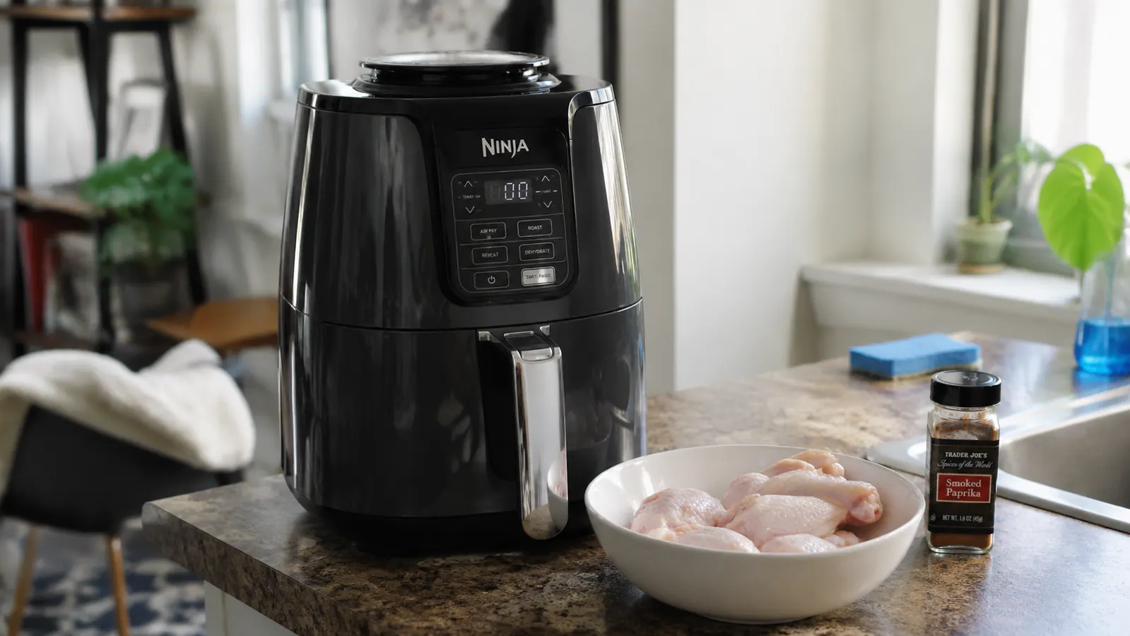 Ninja Air Fryer Review After 90 Days: What We Found Out
